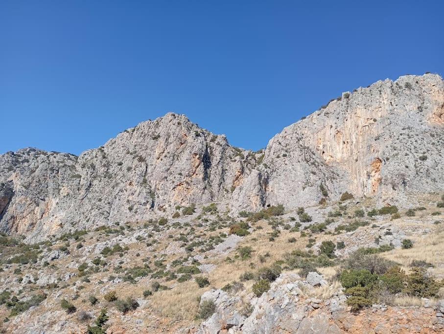 La Nature Konistres المظهر الخارجي الصورة