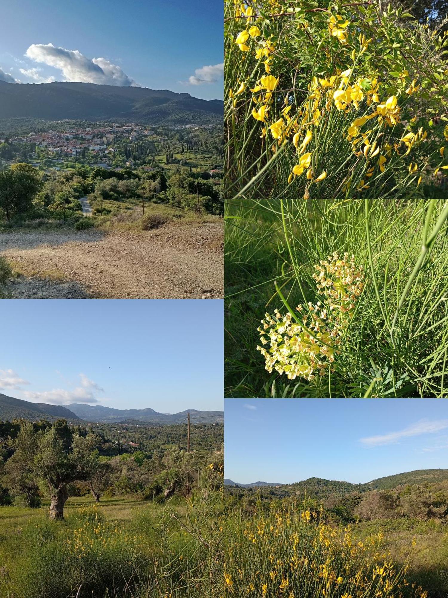 La Nature Konistres المظهر الخارجي الصورة